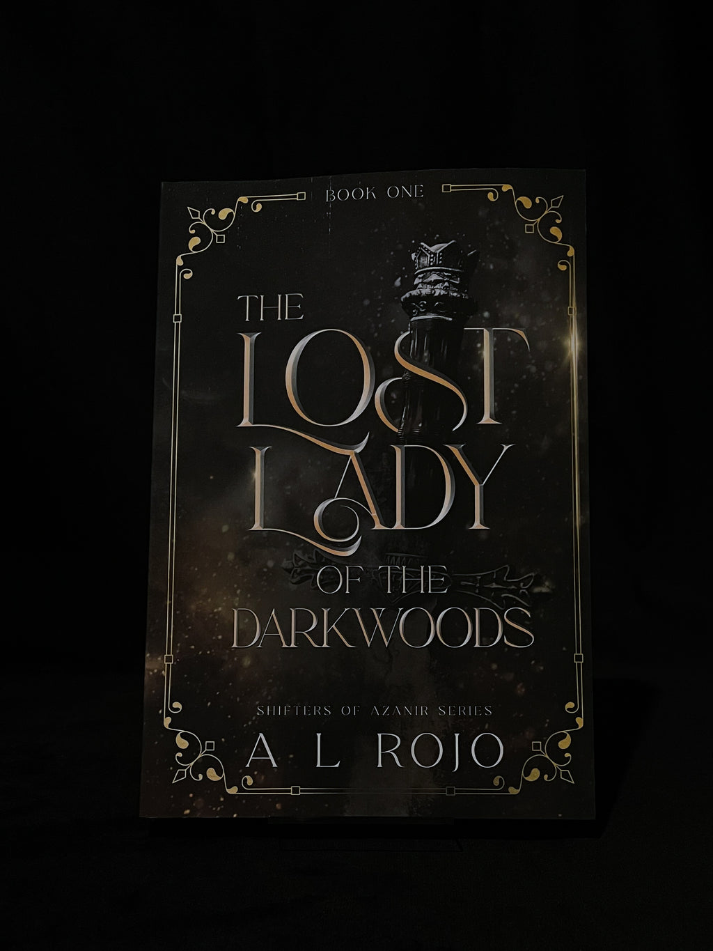 The Lost Lady of the Darkwoods - A.L Rojo