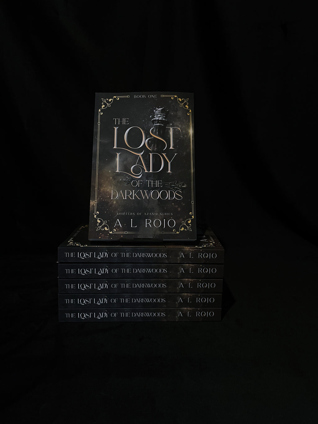 The Lost Lady of the Darkwoods - A.L Rojo