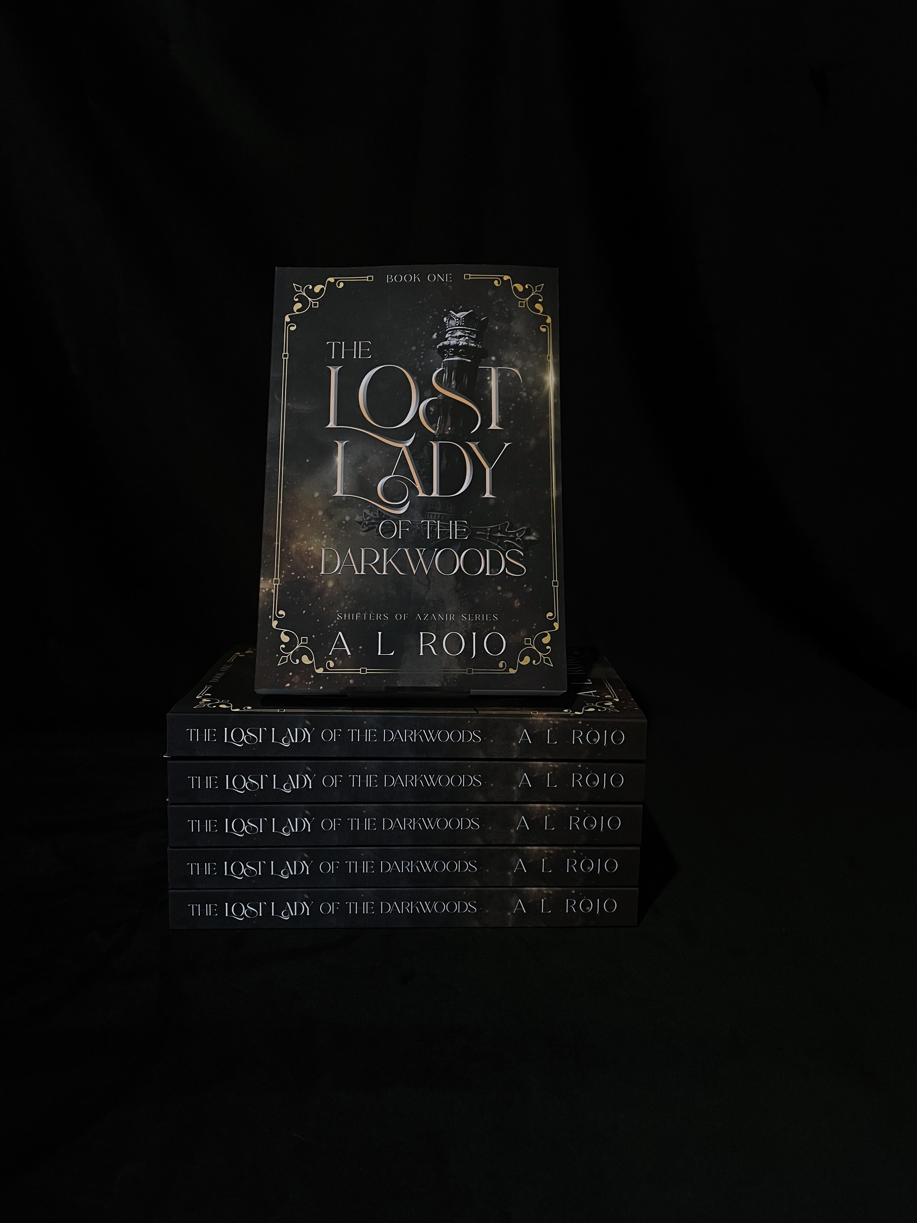 The Lost Lady of the Darkwoods - A.L Rojo